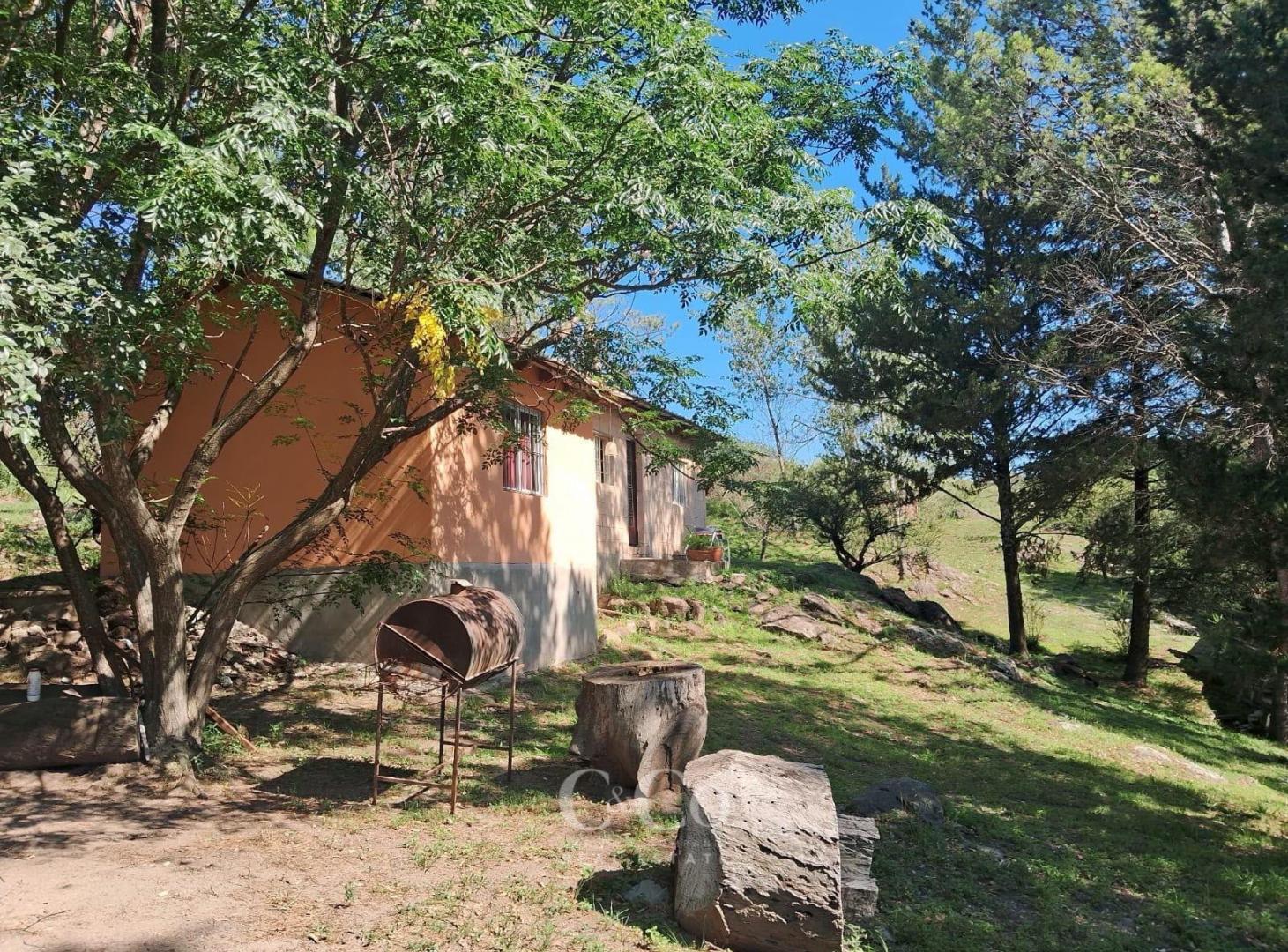 Foto de Venta Complejo Turístico Con Piscina De 3 Unidades Cerca Del Rio San, imagen 3