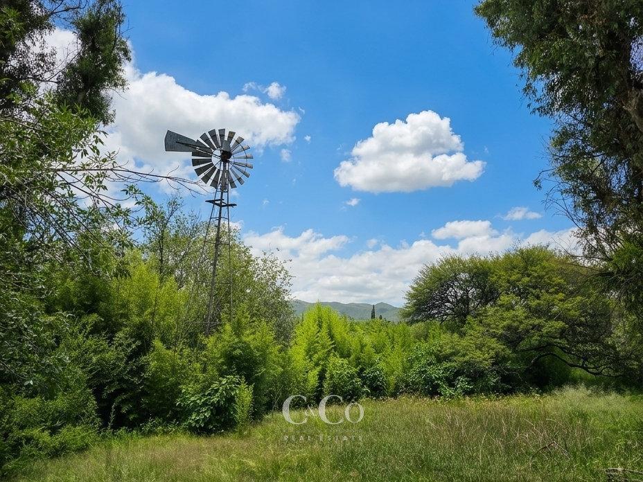 Foto de Venta Espectacular Terreno/Campo De 50.000 Mts² Con Costa De Río En, imagen 4