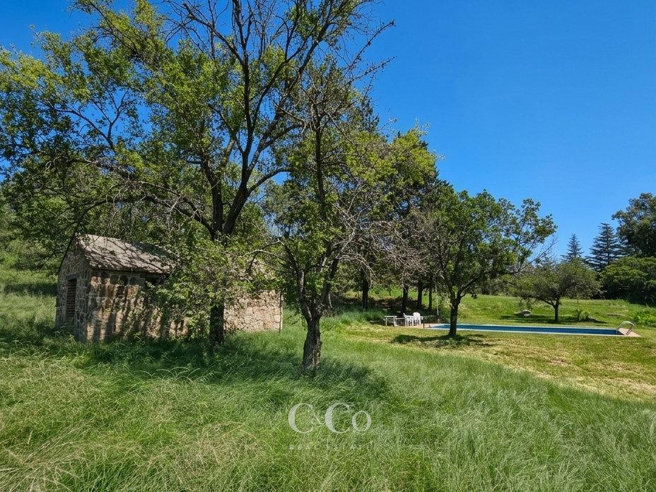 Foto de Venta Espectacular Terreno/Campo De 50.000 Mts² Con Costa De Río En, imagen 3