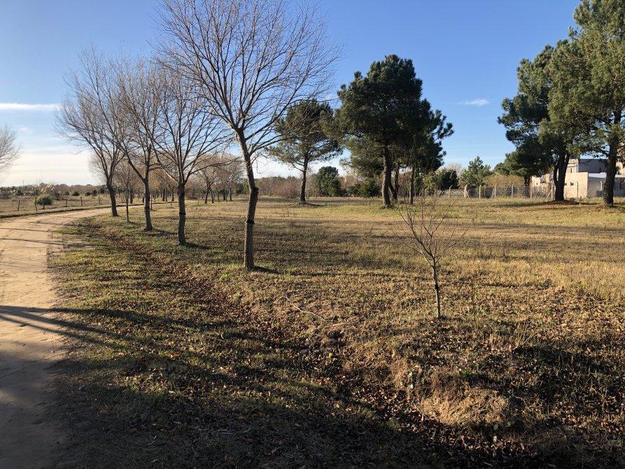 Nuevo Loteo - Barrio San Rafael - Lotes C/financiacion! 5