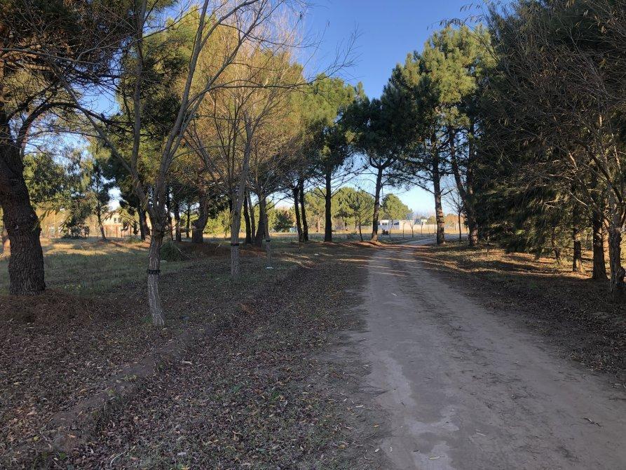 Nuevo Loteo - Barrio San Rafael - Lotes C/financiacion! 4