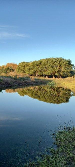Chacra - Fracción 6 Has con Importante Frente a La Autovia Entre Lucila del Mar y Aguas Verdes 3