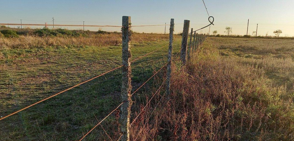 Chacra - Fracción 6 Has con Importante Frente a La Autovia Entre Lucila del Mar y Aguas Verdes 4