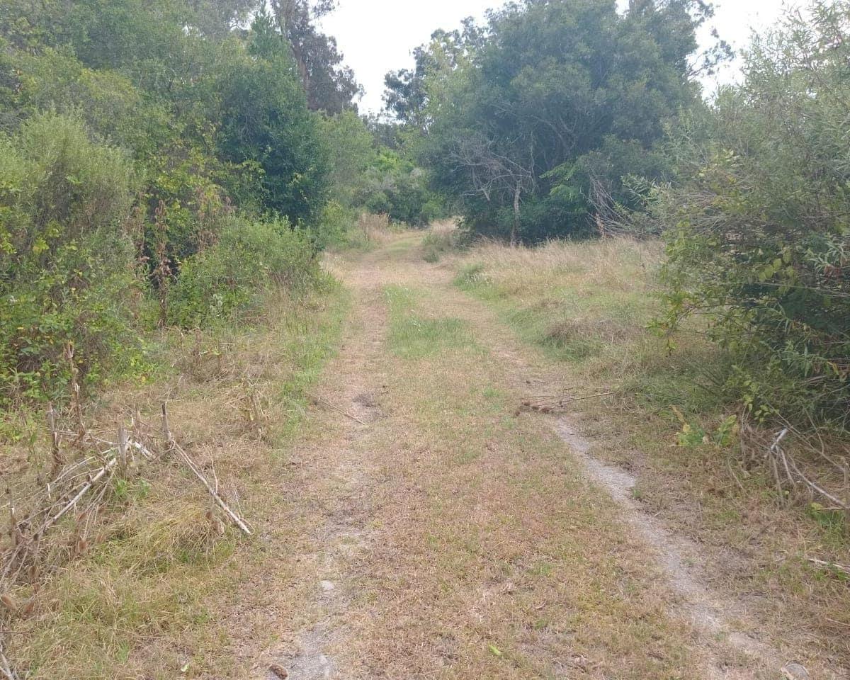Venta de Hectarea y Media en Punta Indio 2