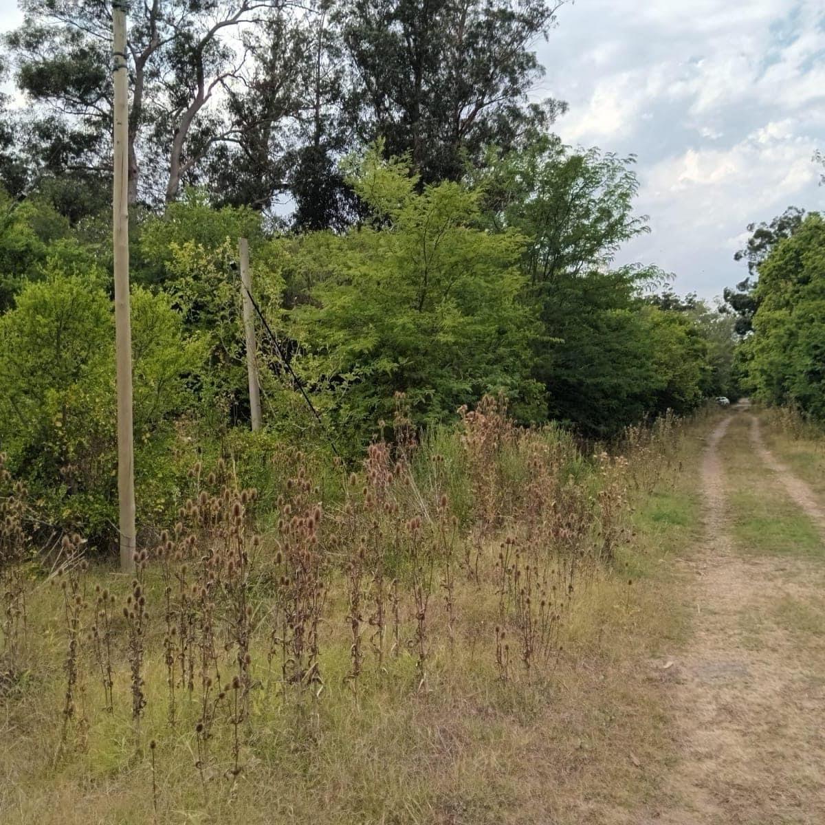 Venta de Hectarea y Media en Punta Indio 3