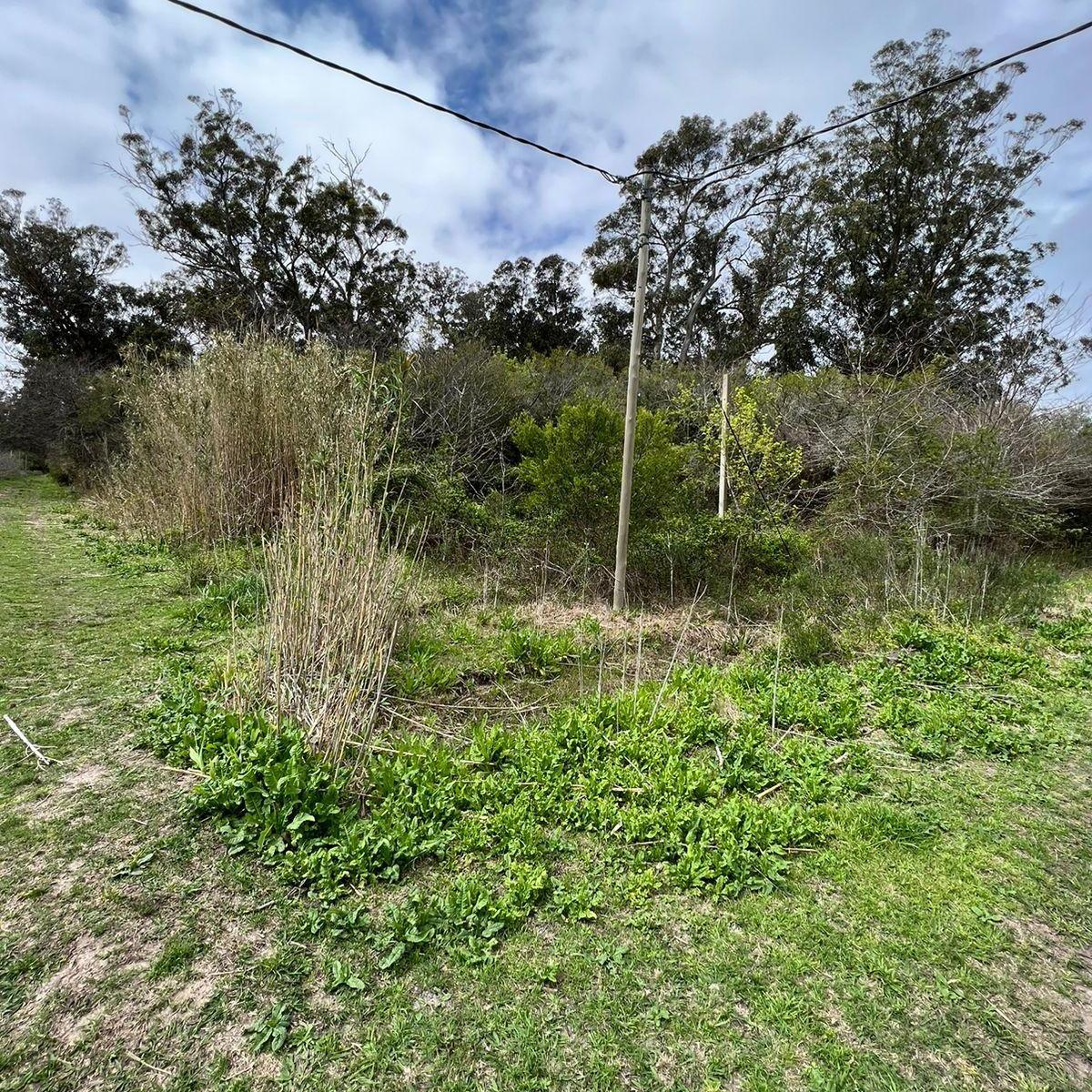 Venta de Hectarea y Media en Punta Indio 4