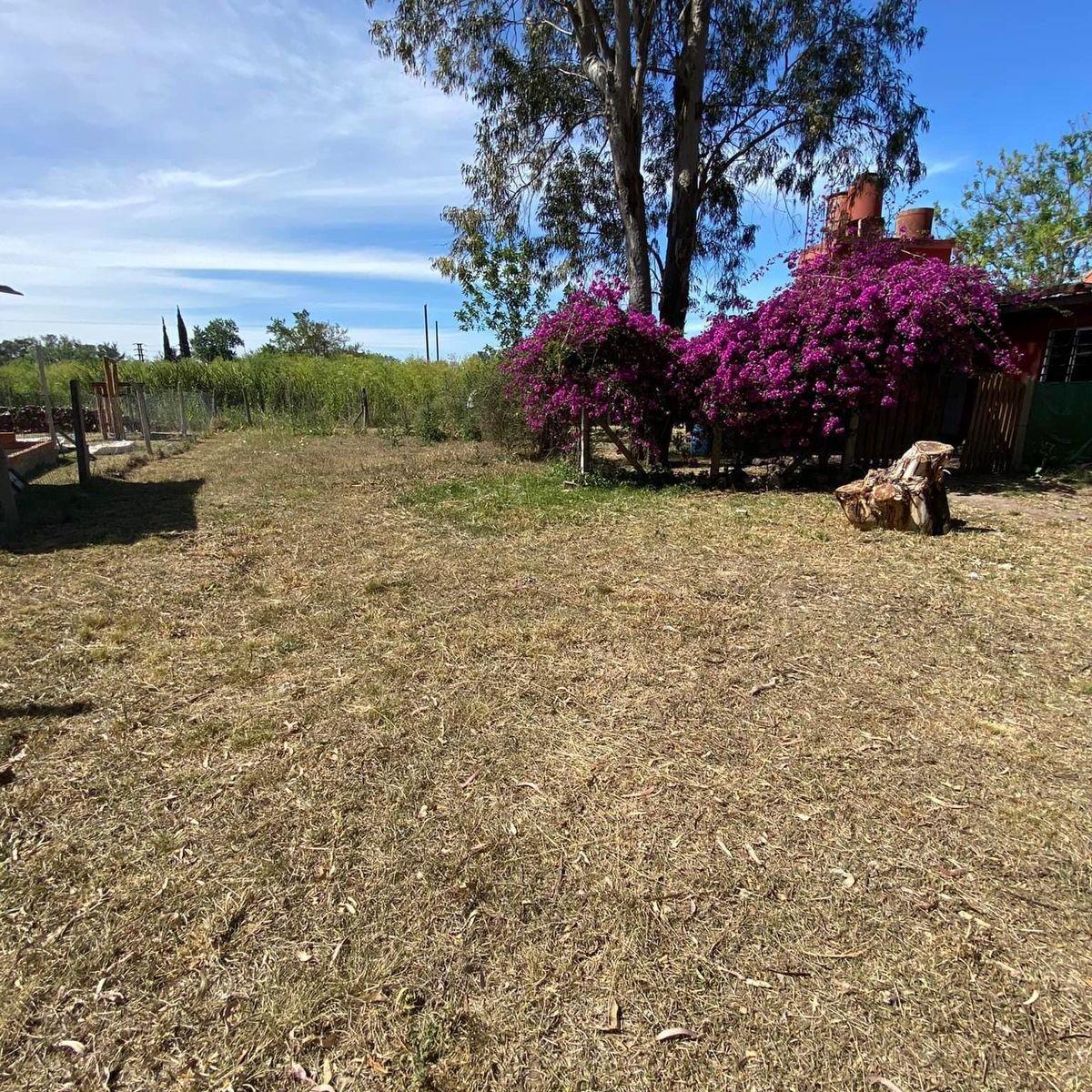 Venta de Parrilla con Vivienda en El Parque Pereyra Iraola 2