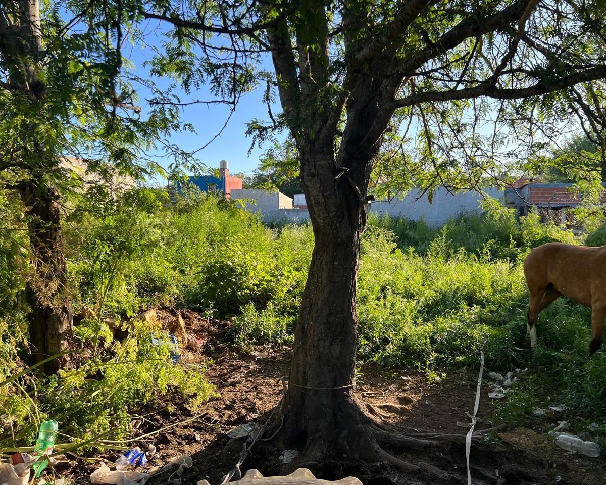 Foto de Terreno en venta en 127 entre 45 y 44, imagen 5