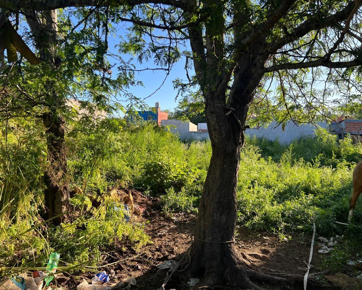 Foto de Terreno en venta en 127 entre 45 y 44, imagen 4