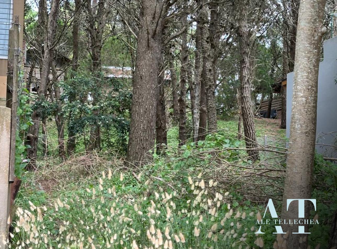 Lote en Venta en Mar Azul: Bosque, Silencio a 9 cuadras del Mar.