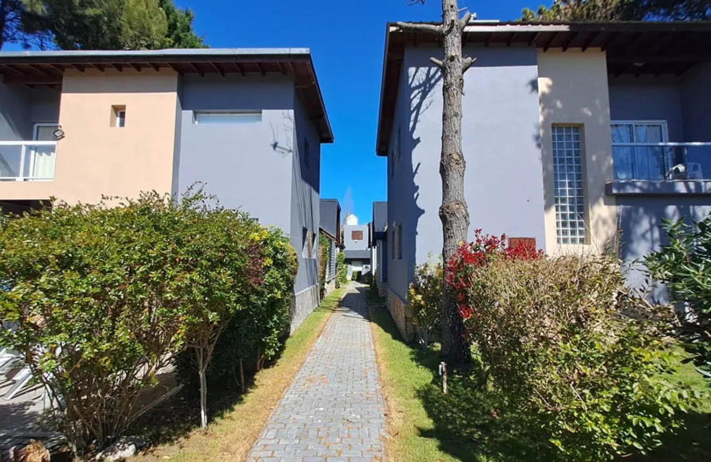 Complejo de cabañas a pasos de la playa de LAS GAVIOTAS 4
