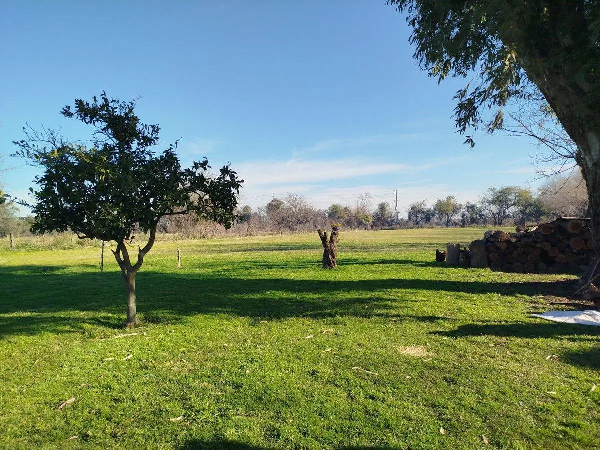 VENTA LOTE PILAR 2 HECTAREAS CON CASA 4