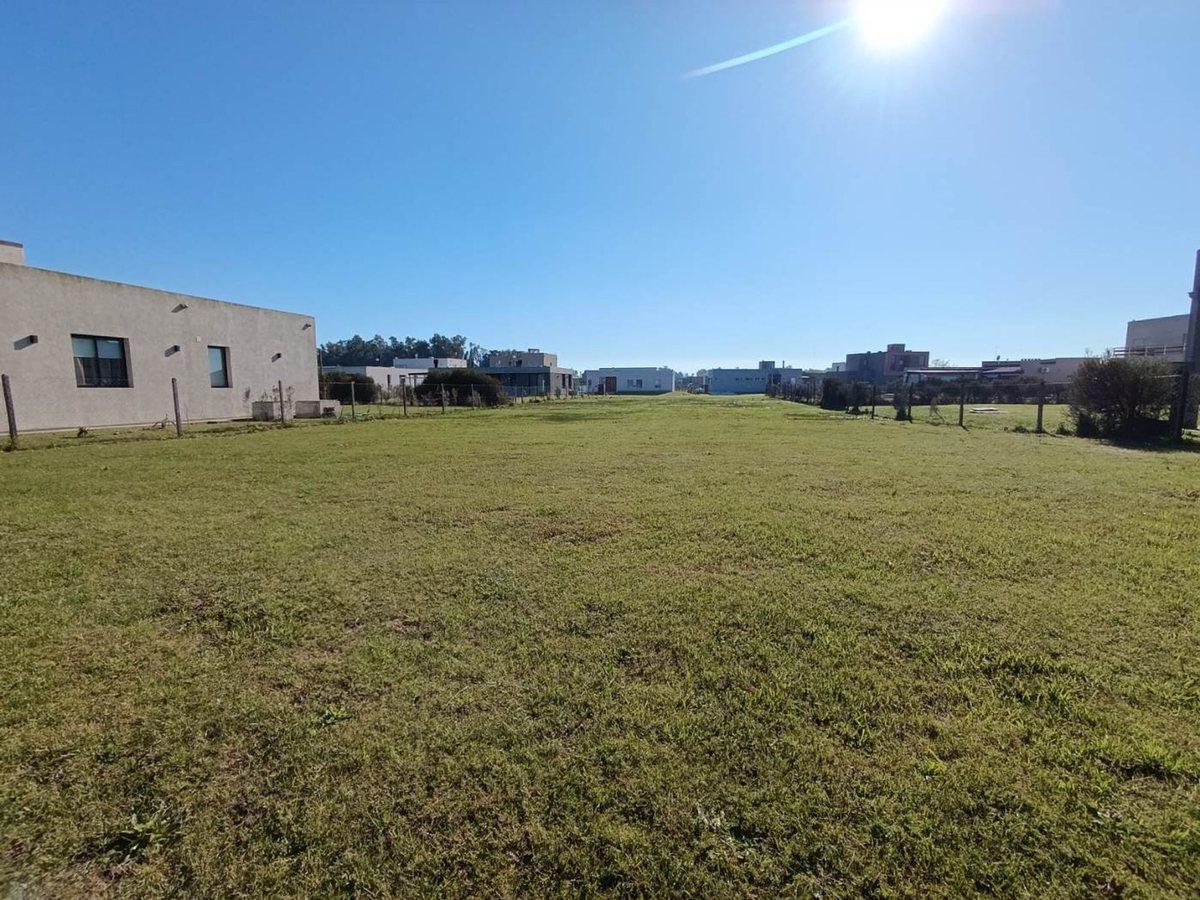 Foto de VENTA LOTE 700MTS M. BELGRANO MASCHWITZ, imagen 3