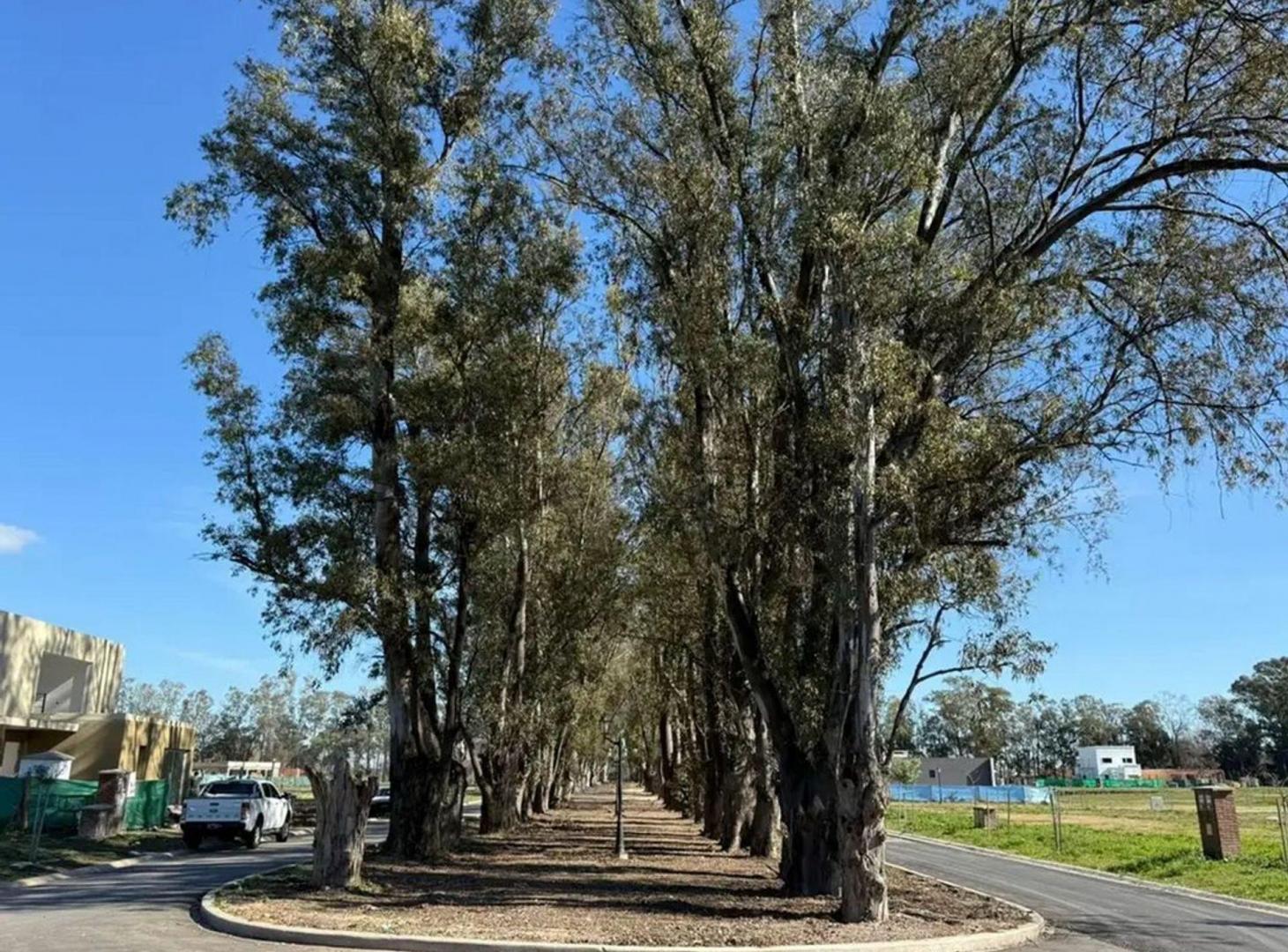 Foto de LOTE EN VENTA – BARRIO SANTA SOFÍA, PILAR DEL ESTE, imagen 1