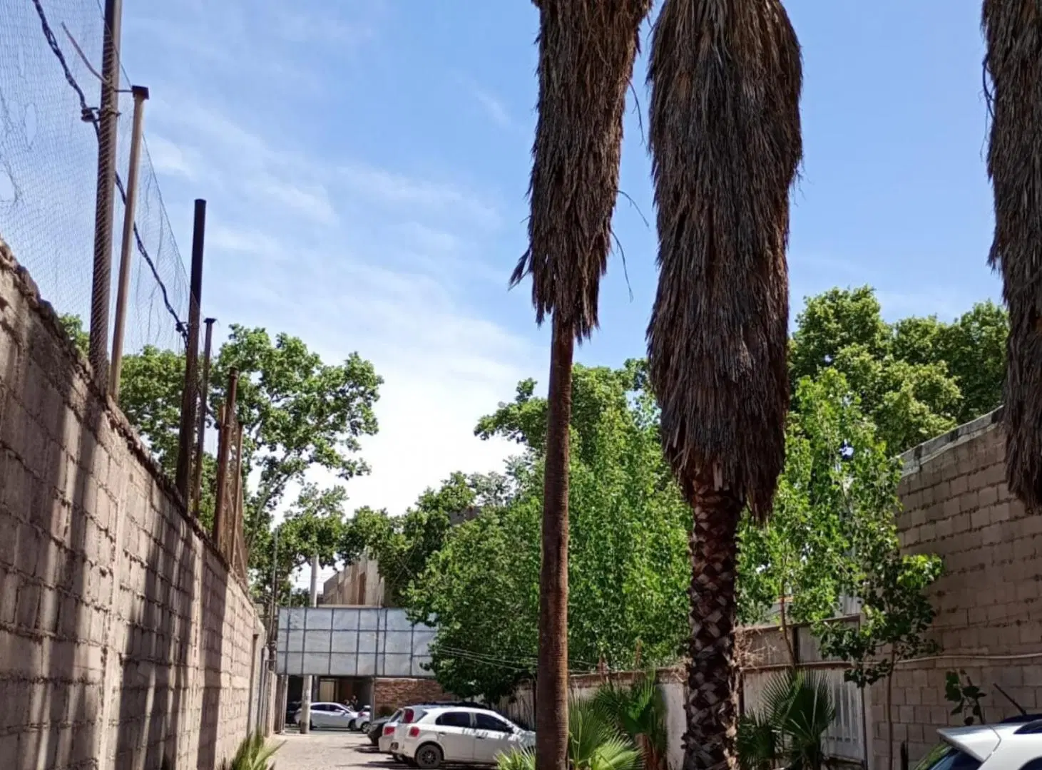 Lote en alquiler sobre Av. San Martín y Morón (al lado de LEVELGYM) – Ciudad de Mendoza 2