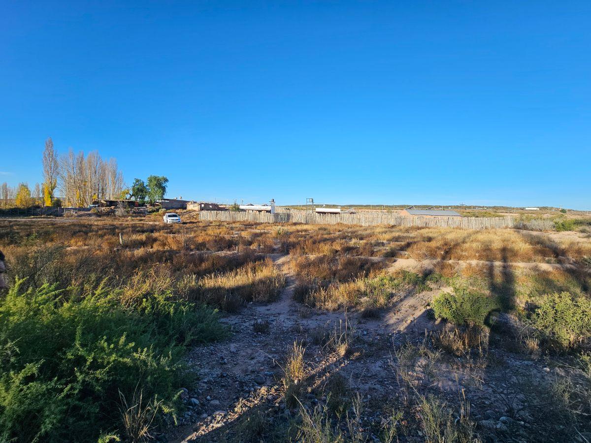 Foto de Venta Lote 2000 m2 Agrelo Mendoza, imagen 2