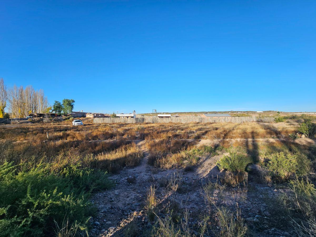 Foto de Venta Lote 2000 m2 Agrelo Mendoza, imagen 1