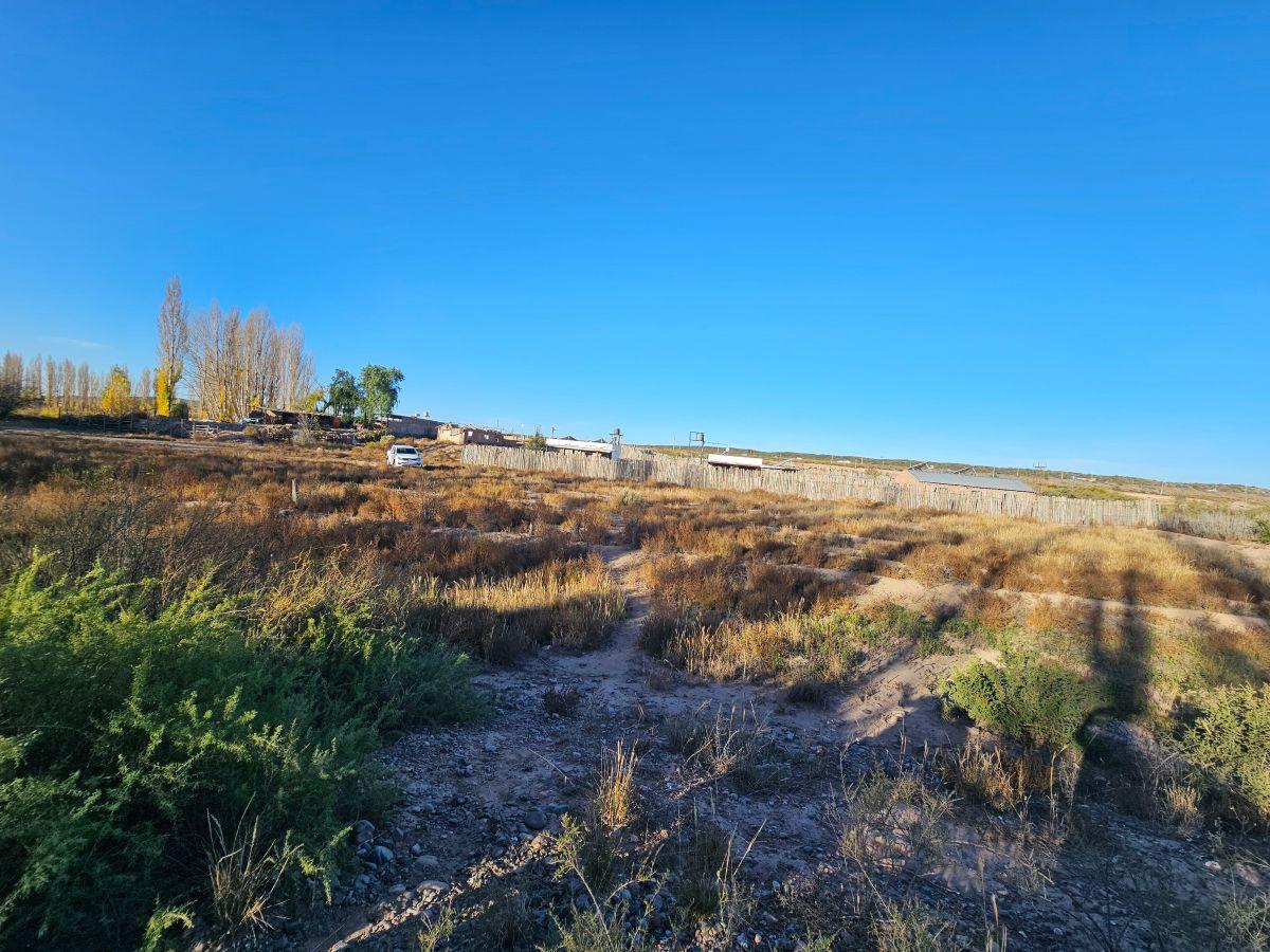 Foto de Venta Lote 2000 m2 Agrelo Mendoza, imagen 5