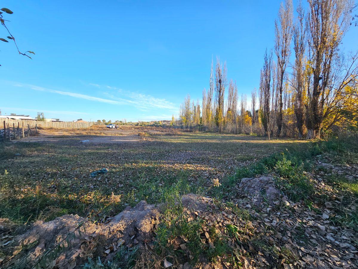 Foto de Venta Lote 2000 m2 Agrelo Mendoza, imagen 3