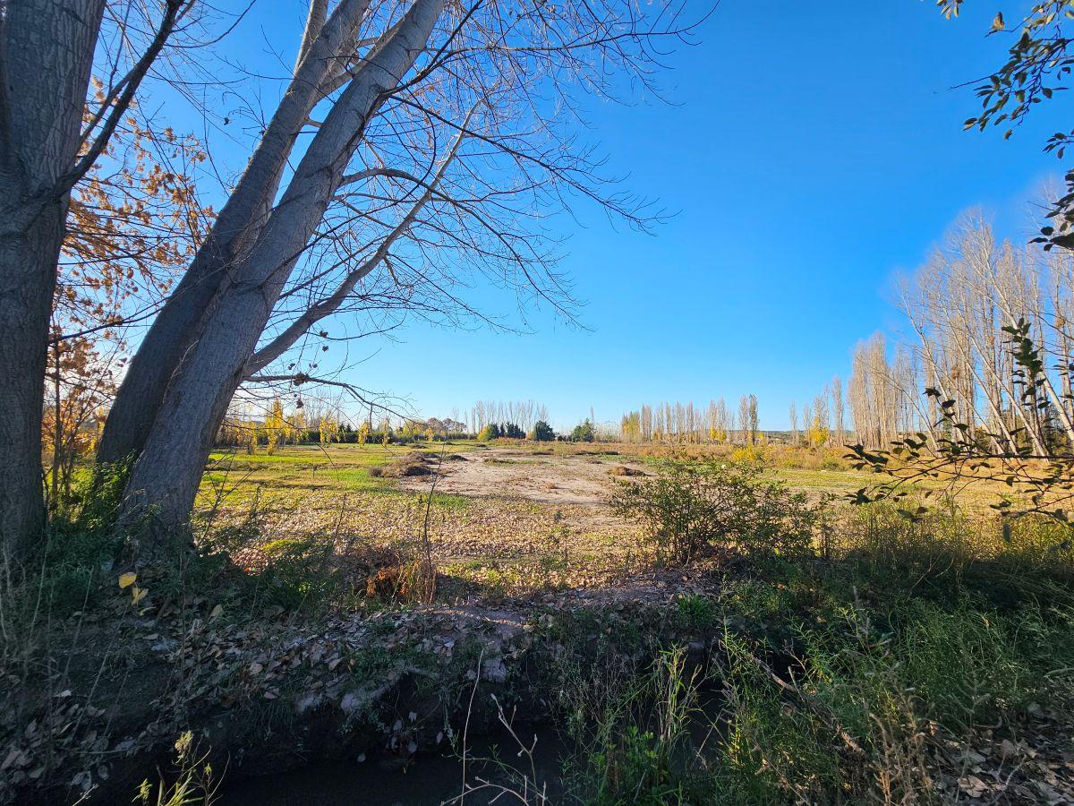 Foto de Venta Lote 2000 m2 Agrelo Mendoza, imagen 4