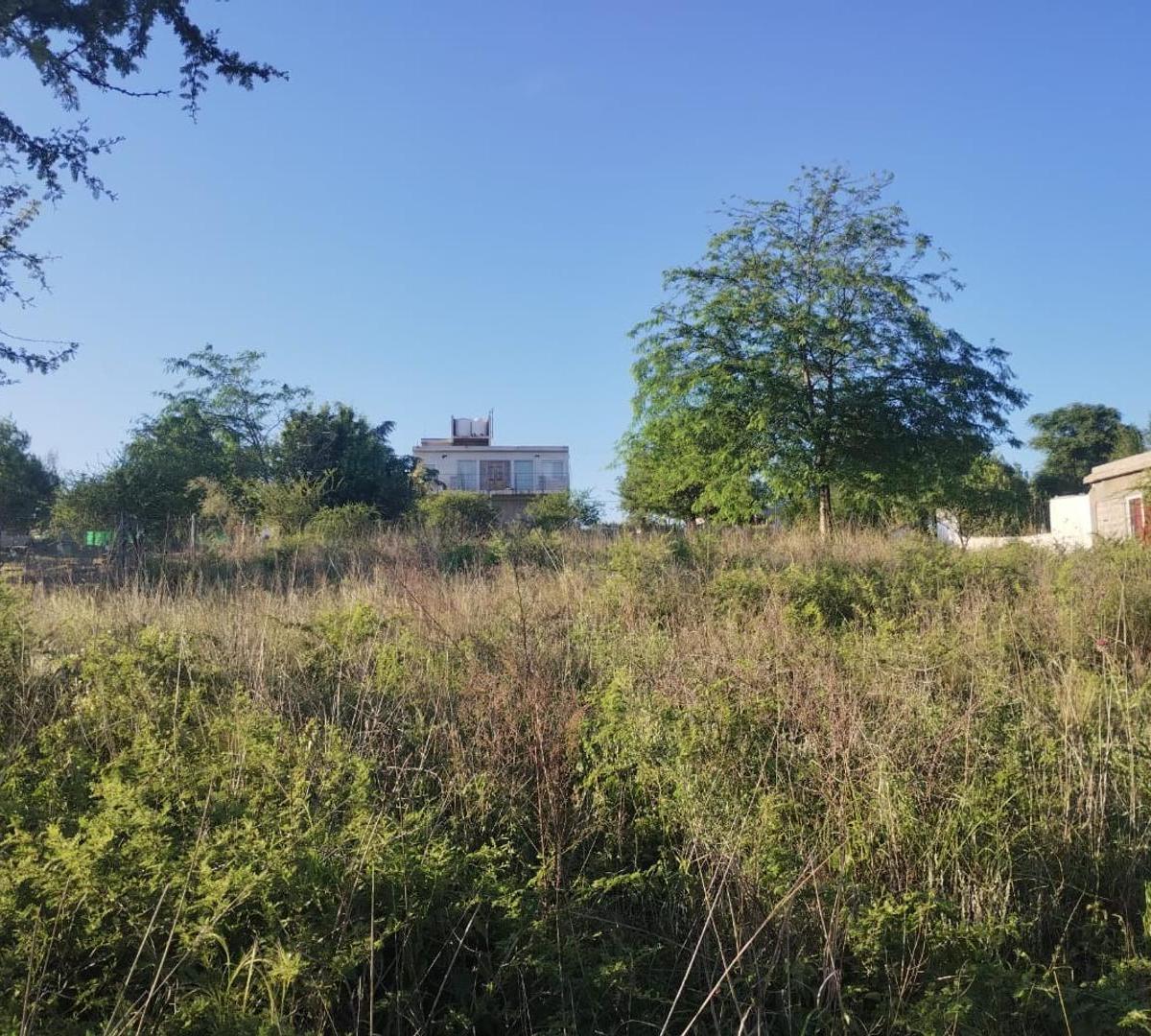 "Lote en Mirador del Lago con vista"