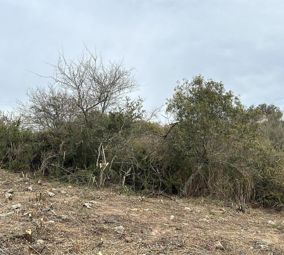 Terreno en Estancia Vieja 1