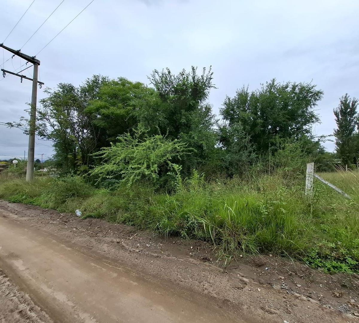 "Vendo Terrenos Sobre Ruta - en Siquiman" 4
