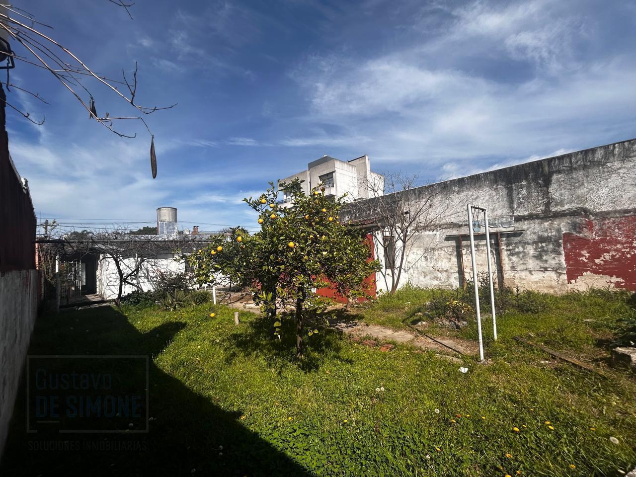 Foto de Venta Lote en Villa Bosch, imagen 5