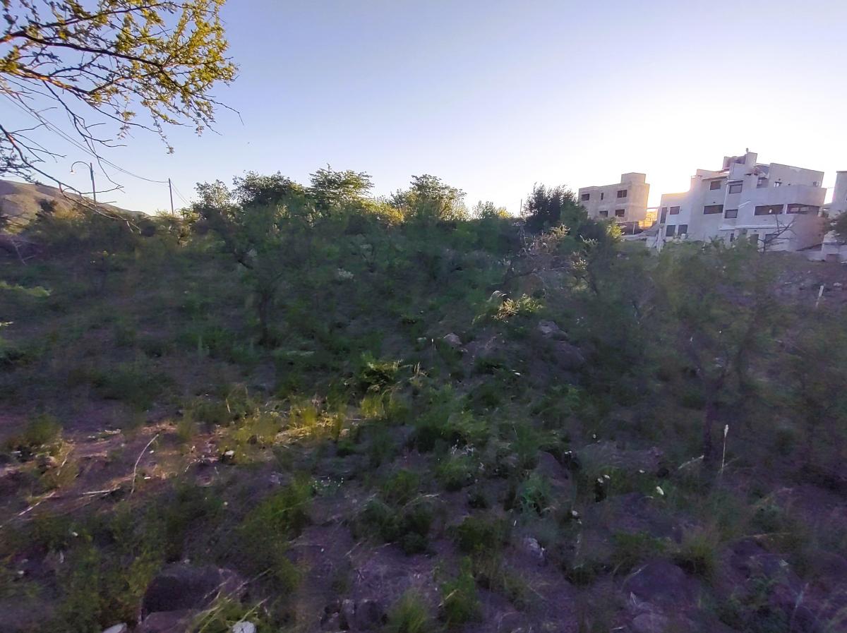 Lote 703 m San Antonio de Arredondo 3