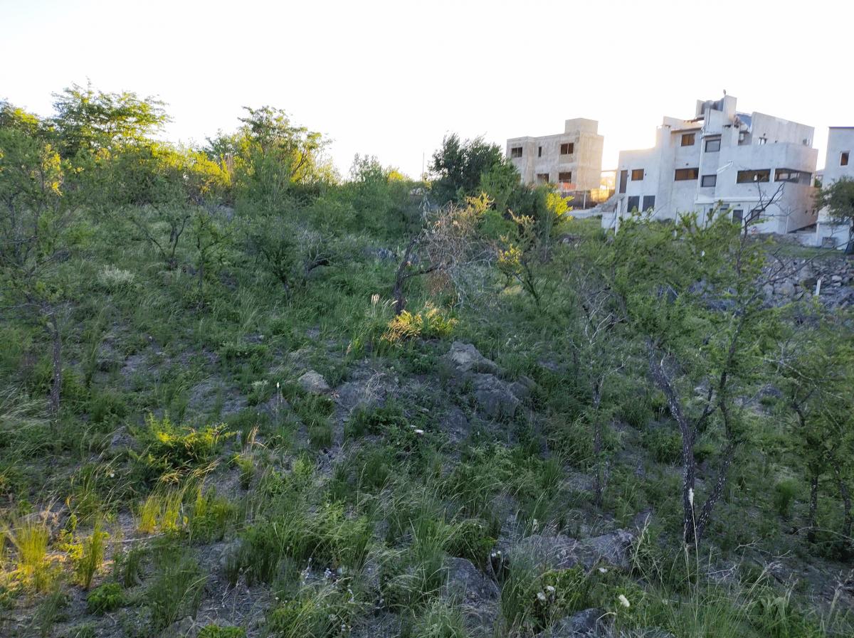 Lote 703 m San Antonio de Arredondo 5