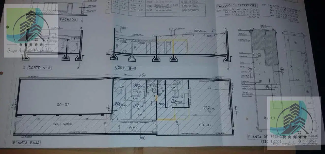 Plano 1