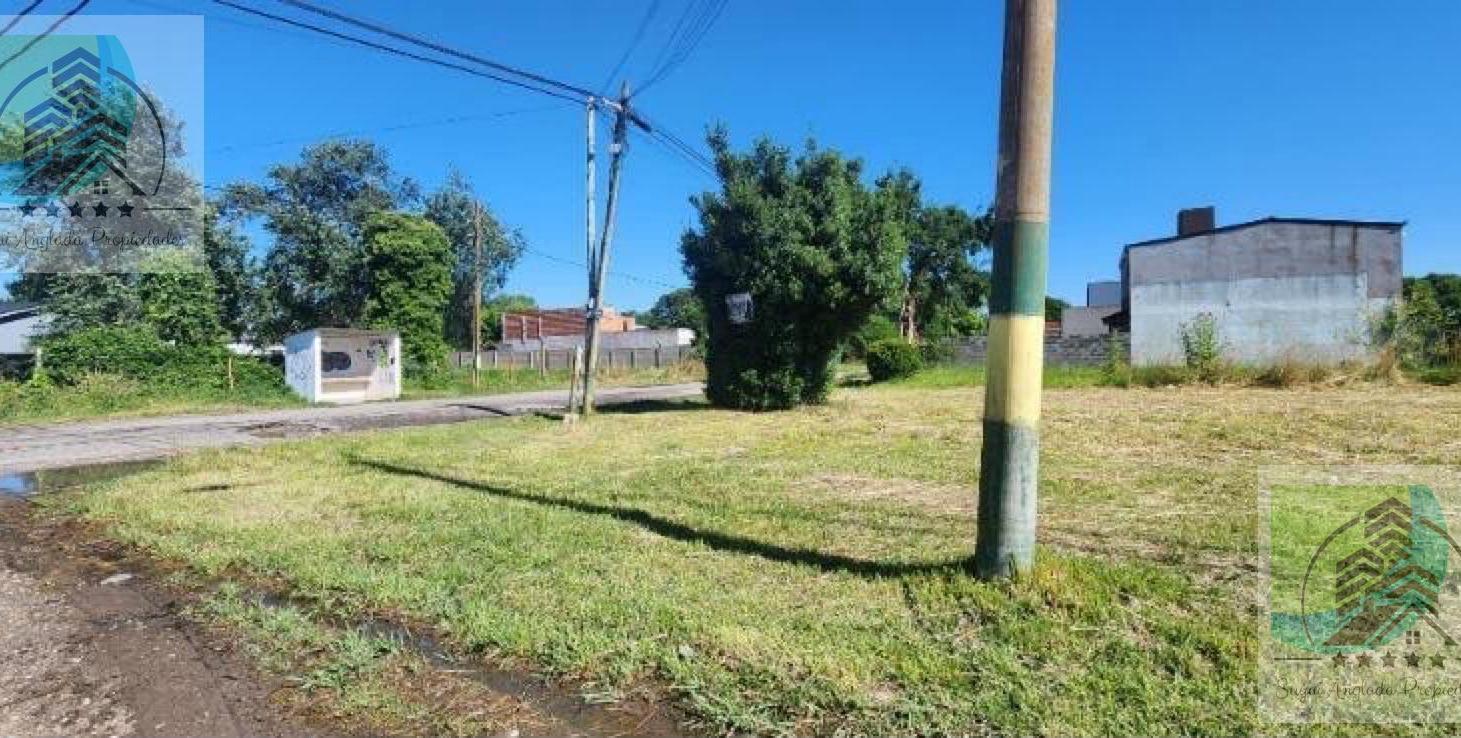 Foto de TERRENO ESCRITURADO ESQUINA SOBRE ASFALTO, imagen 4