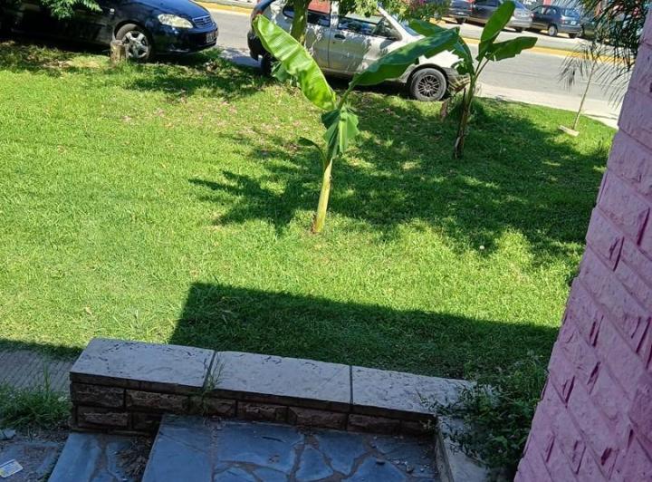Local  en Alquiler en Tigre, G.B.A. Zona Norte, Argentina 4