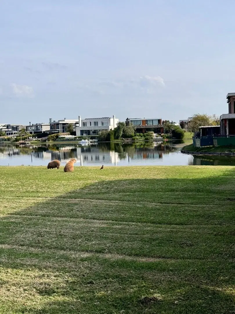 Terreno Lote  en Venta en Virazón, Nordelta, Tigre 2
