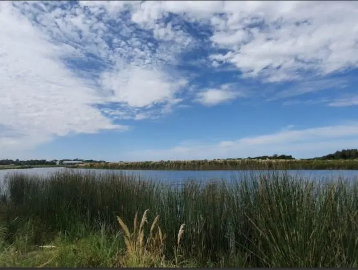 Terreno Lote  en Venta en Santa Ana, Villanueva, Tigre 3