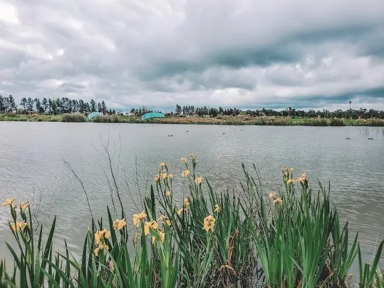 Terreno Lote  en Venta en Santa Ana, Villanueva, Tigre 3