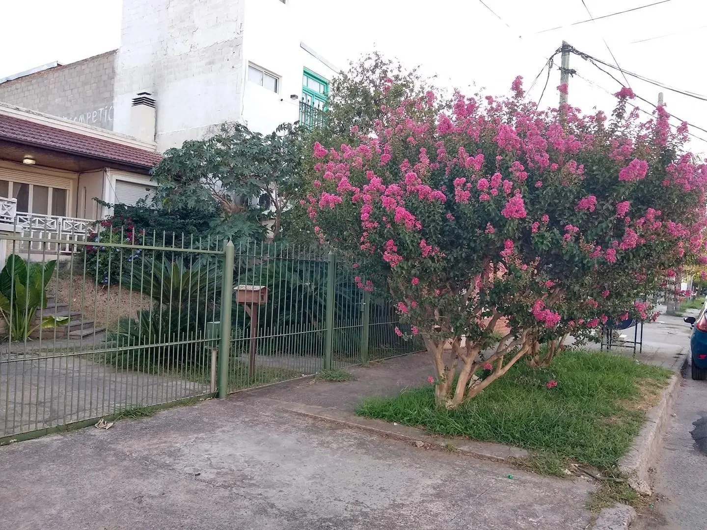 Casa Chalet en Alquiler en Rincón de Milberg, Tigre, G.B.A. Zona Norte 4
