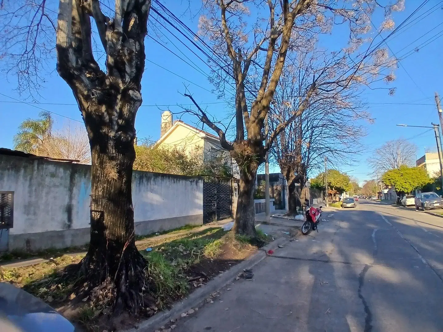 Terreno Lote en Venta en Beccar, San Isidro, G.B.A. Zona Norte 6