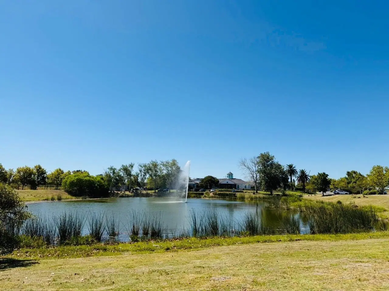 Terreno Lote  en Venta en Casuarinas, Nordelta, Tigre 4