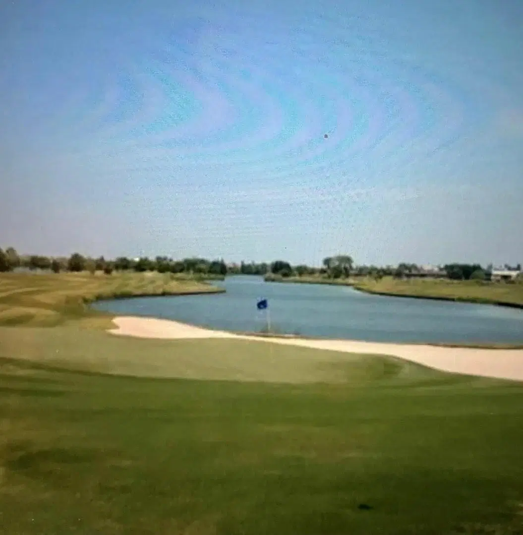 Terreno Lote  en Venta en El Golf, Nordelta, Tigre 4