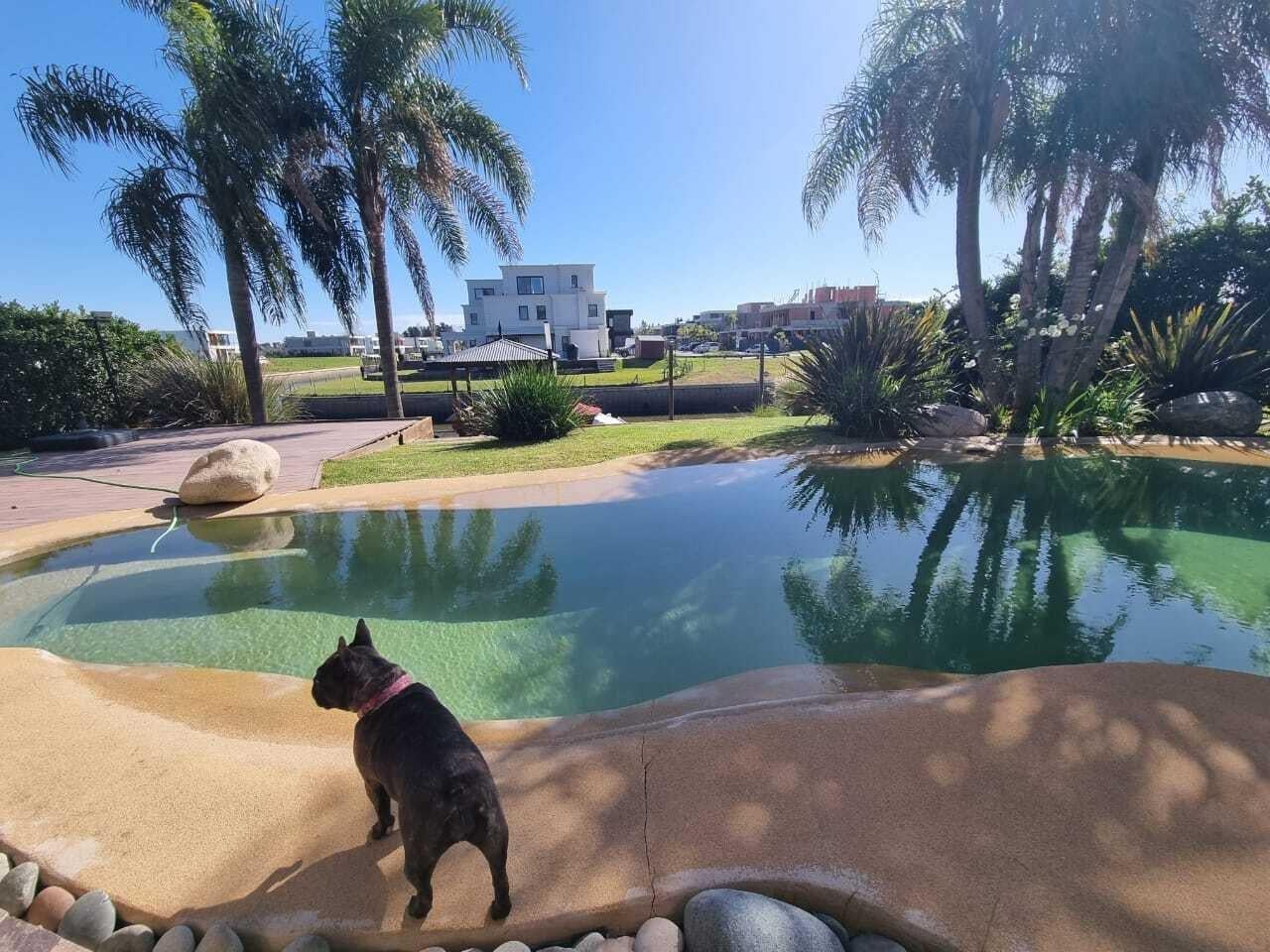 Foto de Casa en Venta en El Yacht, Nordelta, Tigre, imagen 5