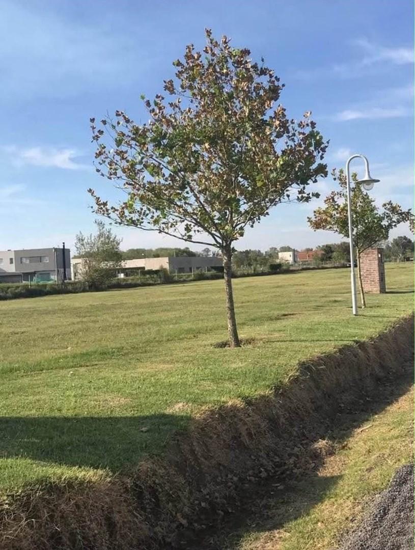 Foto de Terreno Lote en Venta en Santa Isabel I, Escobar, G.B.A. Zona Norte, imagen 3