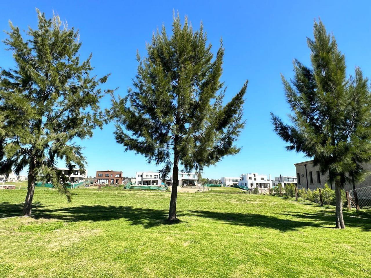 Foto de Terreno Lote en Venta en El Naudir, Escobar, G.B.A. Zona Norte, imagen 2