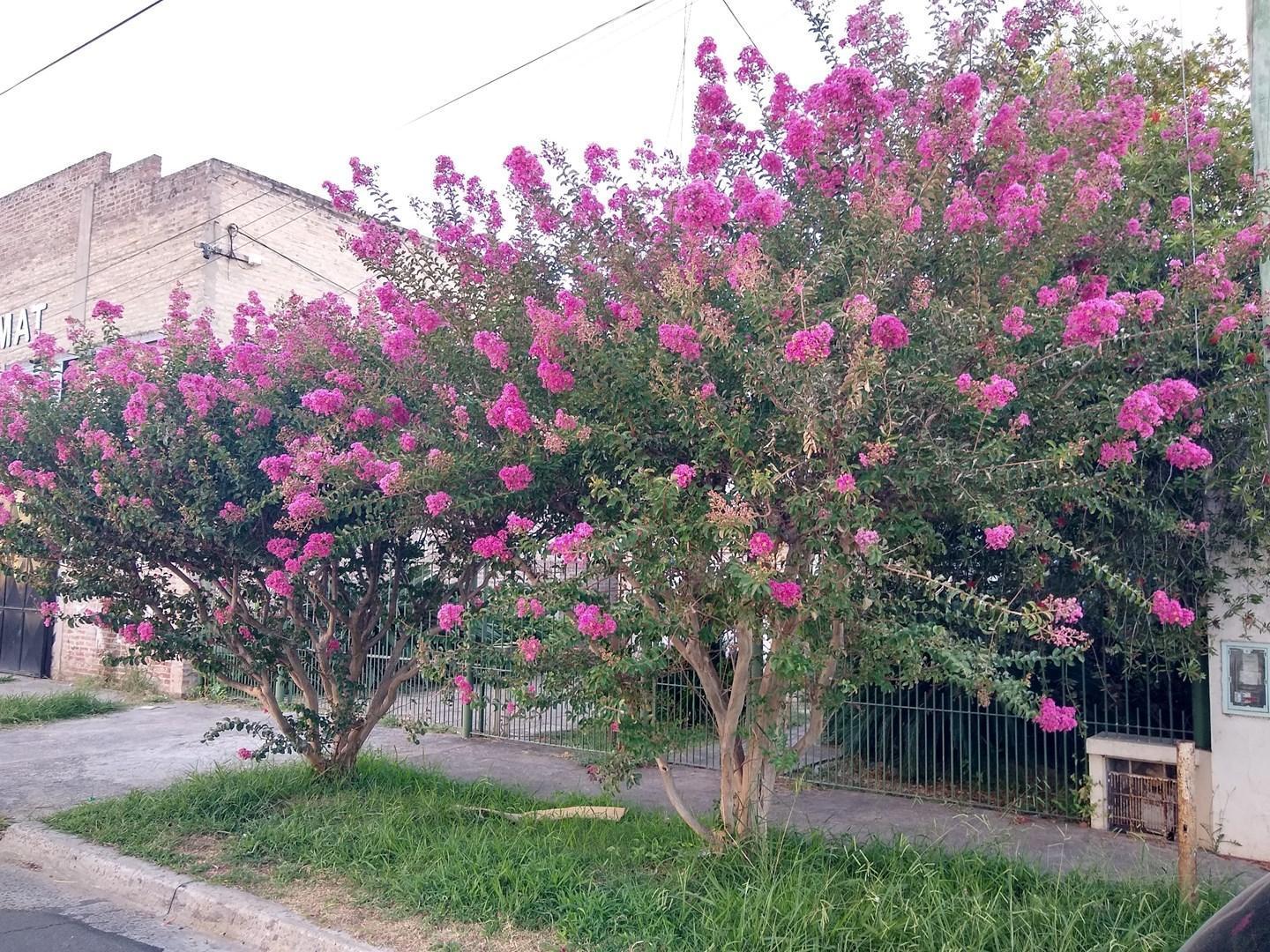 Foto de Casa Chalet en Venta en Rincón de Milberg, Tigre, G.B.A. Zona Norte, imagen 1