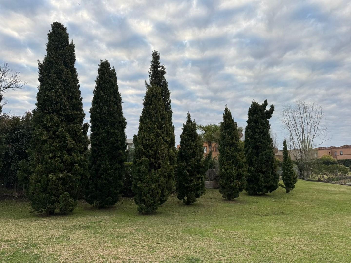 Foto de Terreno Lote en Venta en La Isla, Nordelta, Tigre, imagen 2