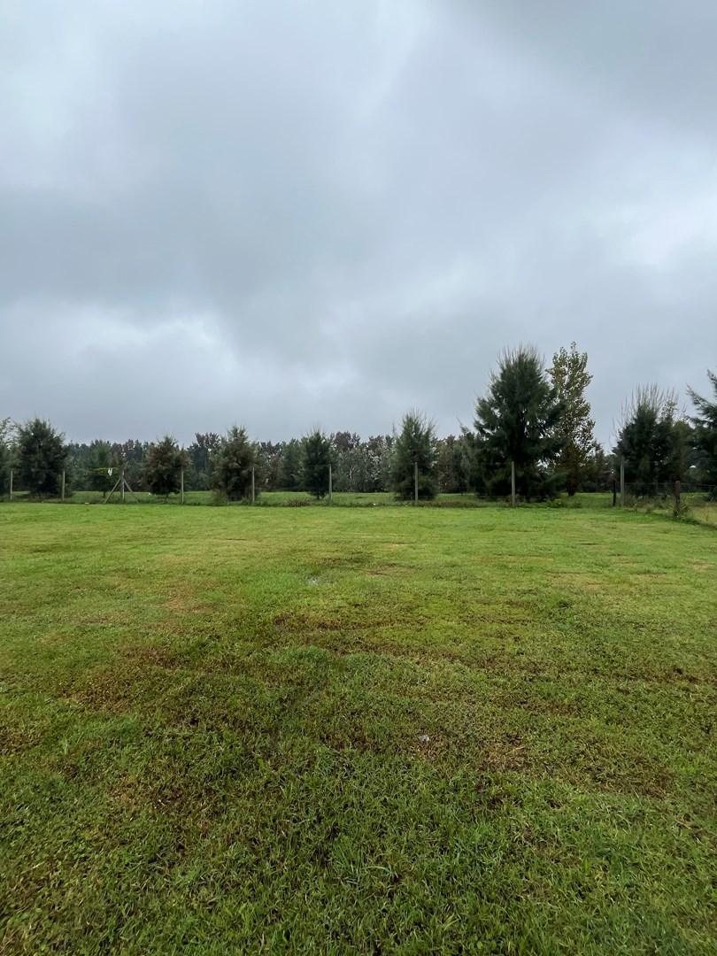 Foto de Terreno Lote en Venta en Castaños, Nordelta, Tigre, imagen 4
