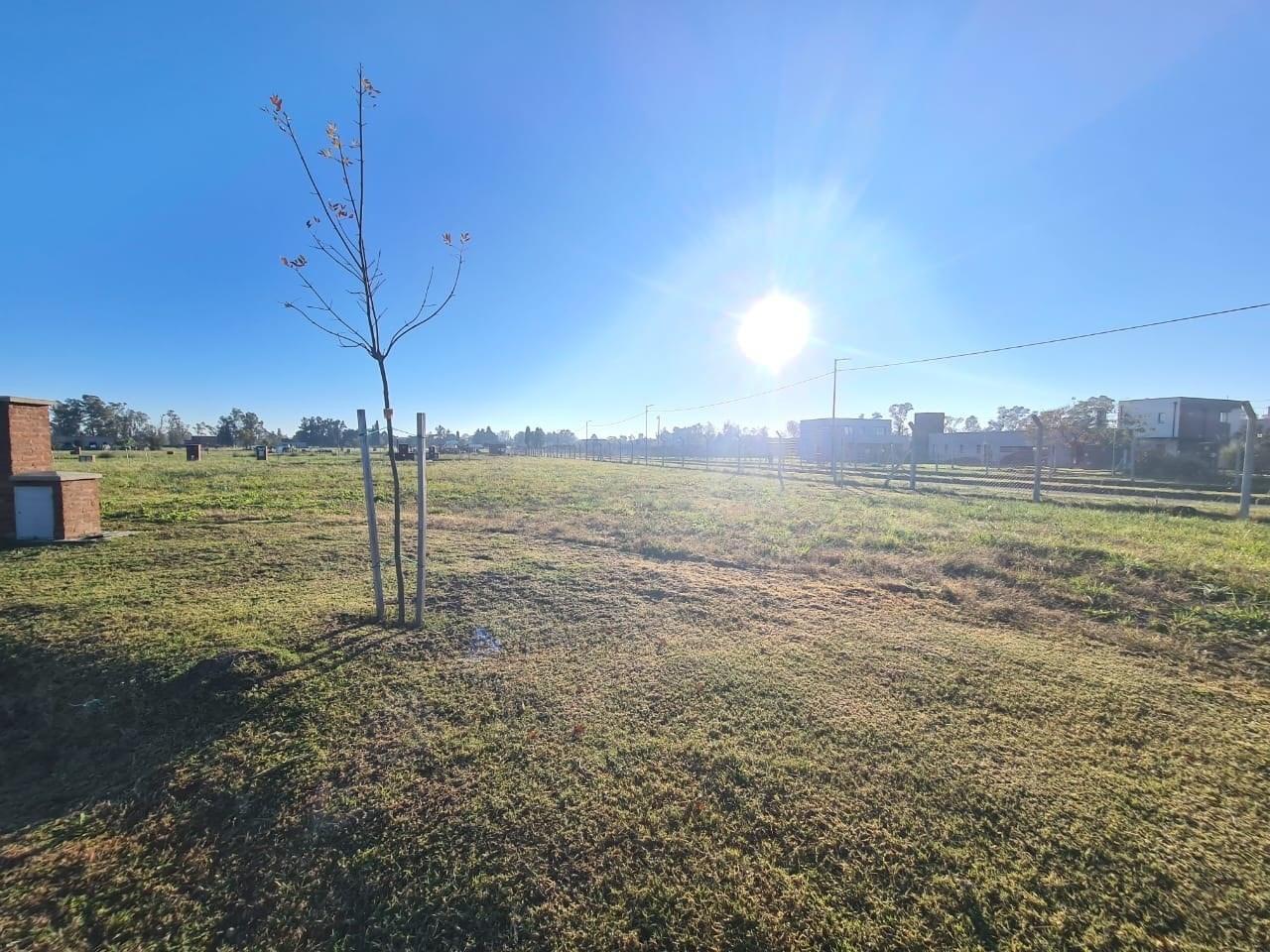 Foto de Terreno Lote en Venta en Santa Sofía, Pilar del Este, Pilar, imagen 5