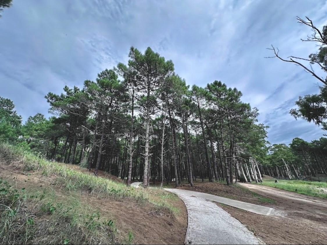 Foto de Terreno Lote en Venta en Pinamar Norte, Pinamar, Costa Atlántica, imagen 5