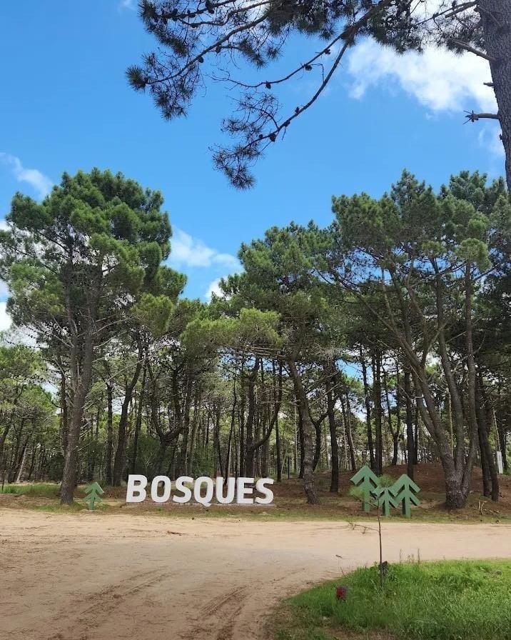 Foto de Terreno Lote en Venta en Pinamar Norte, Pinamar, Costa Atlántica, imagen 3