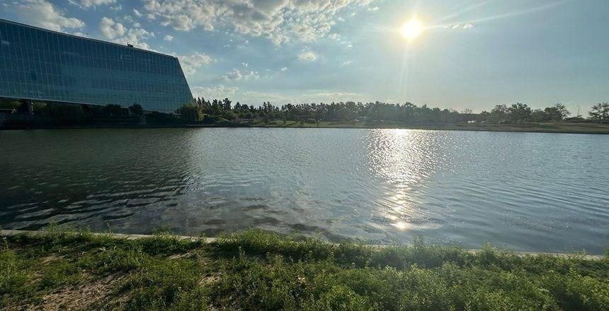 Foto de Terreno Lote en Venta en Silvestre, Nordelta, Tigre, imagen 1
